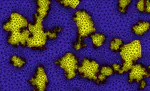 Tectonic Modelling Short Course